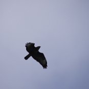 Wat spoken die daar nou uit?